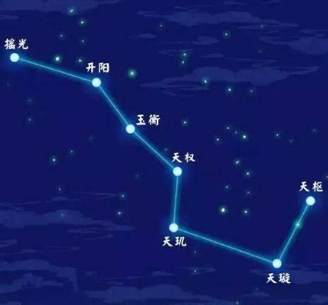 天罡北斗北斗七星陣 鳥類種類